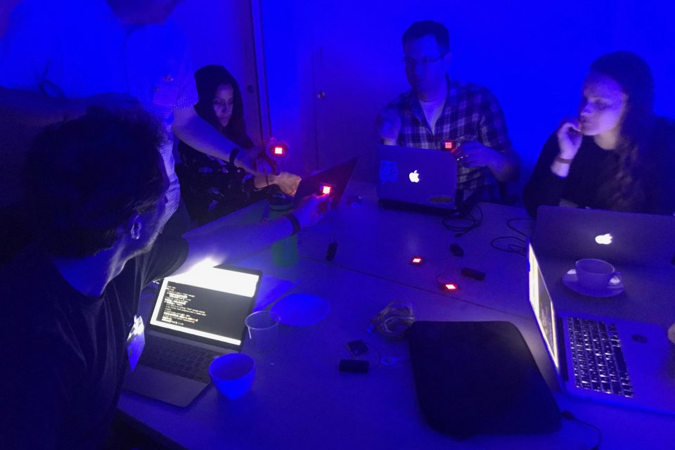 Participants code with micro:bit at the workshop