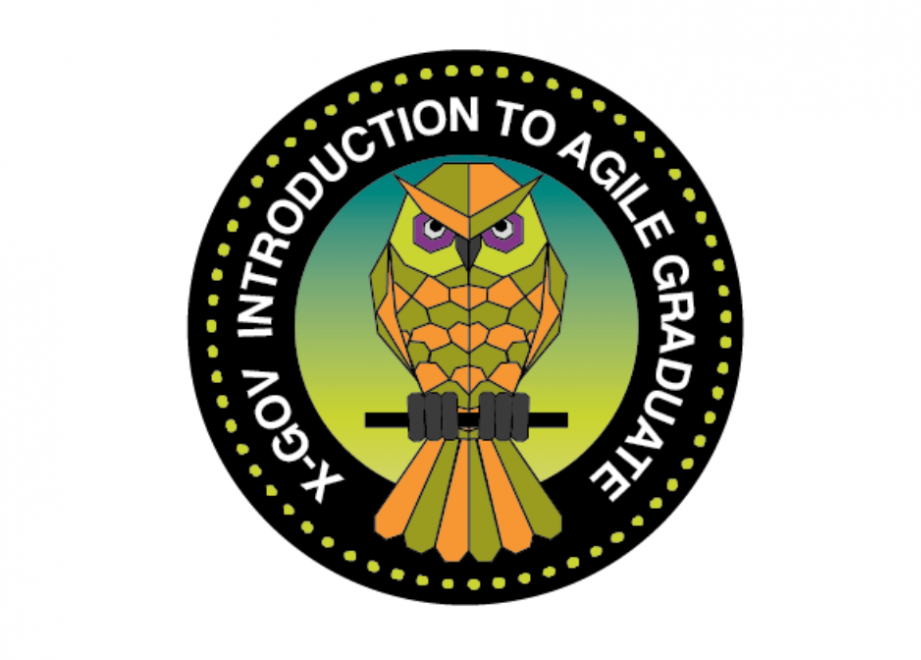 Mission patch with an owl at the centre, and text around it reading “X-Gov Introduction To Agile Graduate”